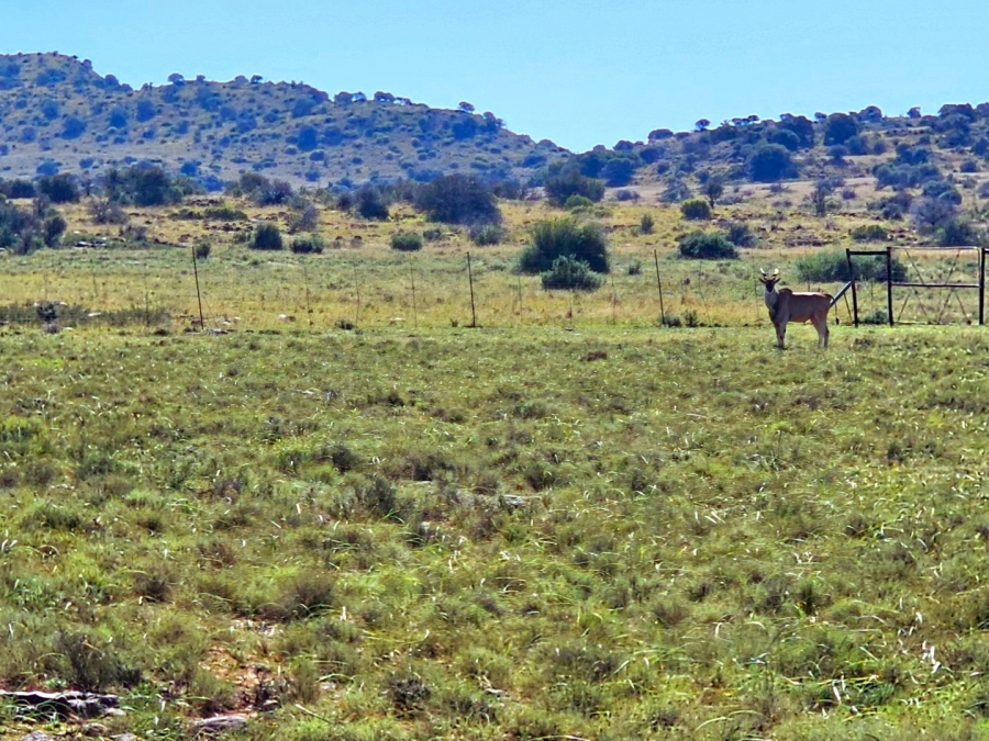 4 Bedroom Property for Sale in Bloemfontein Rural Free State